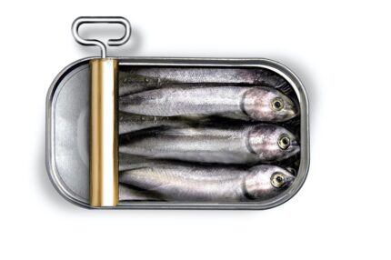Canned sardines
