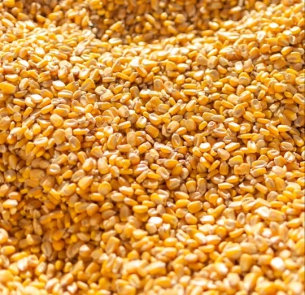Yellow maize (Yellow Corn)